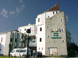 Hotel Castel Dracula