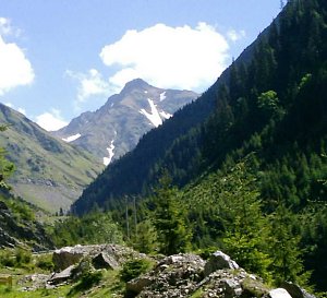 Landschaft Fagaraș